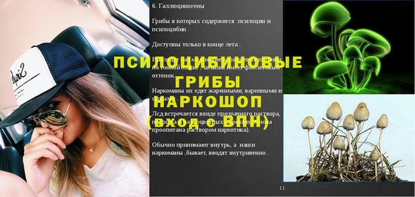 прущий лед Горно-Алтайск