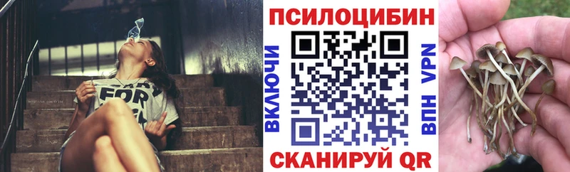 Купить  Пучеж  Псилоцибиновые грибы Magic Shrooms 